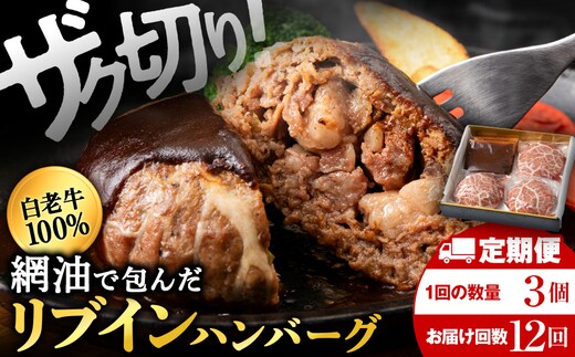 【12ヶ月定期便】白老牛 中おちプレミアムハンバーグ200g×3個【かねかん】