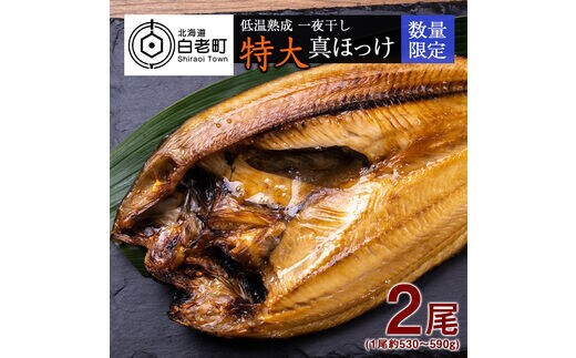 低温熟成 一夜干し 特大 真ほっけ ２尾 ＜北海道産＞