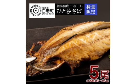 低温熟成 一夜干し ひと汐さば 5尾 ＜虎杖浜加工＞