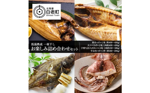 低温熟成 一夜干し お楽しみ 詰め合わせ