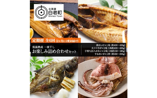 2ヶ月に1度 定期便 全6回 低温熟成 一夜干し お楽しみ 詰め合わせ