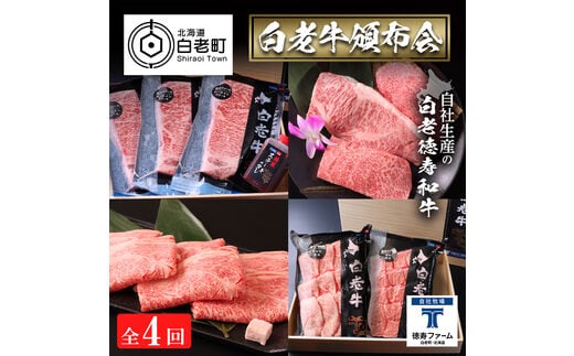 定期便 全4回 白老牛 お楽しみ 頒布会 ＜白老徳寿＞
