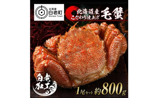 毛蟹 ボイル済み 冷凍 1尾セット 約800g