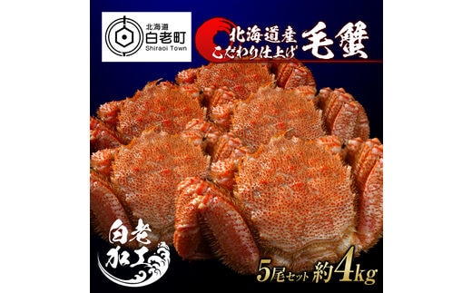 毛蟹 ボイル済み 冷凍 5尾セット 約4kg