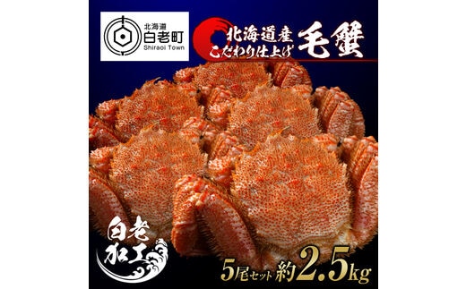 毛蟹 ボイル済み 冷凍 5尾セット 約2.5kg
