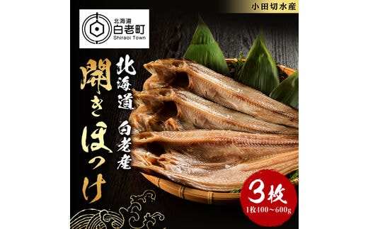 開きほっけ1枚×3セット