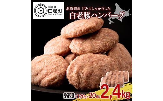 北海道産 白老豚 ハンバーグ 120ｇ×20個セット