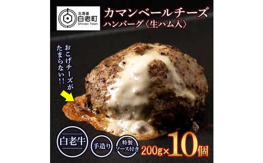 北海道産 白老牛 カマンベールチーズハンバーグ 10個セット 冷凍 チーズ イン ハンバーグ