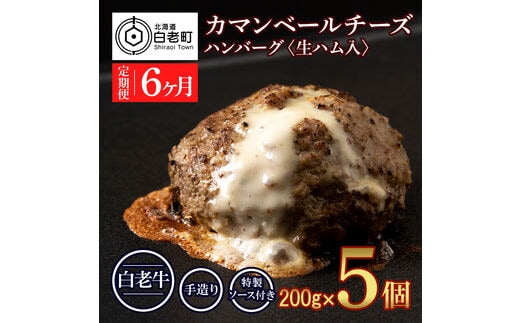 定期便6ヵ月 お楽しみ 北海道産 白老牛 カマンベールチーズハンバーグ 5個セット 冷凍 チーズ イン ハンバーグ