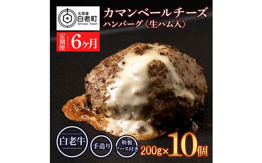 定期便6ヵ月 お楽しみ 北海道産 白老牛 カマンベールチーズハンバーグ 10個セット 冷凍 チーズ イン ハンバーグ