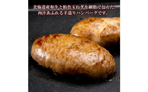 定期便12カ月 お楽しみ 白老牛 2種 食べ比べ ハンバーグ セット 合計10