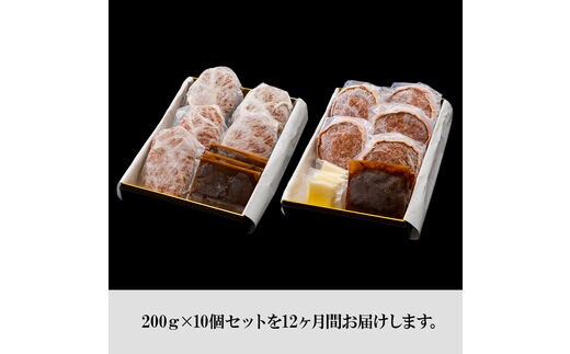 定期便12カ月 お楽しみ 白老牛 2種 食べ比べ ハンバーグ セット 合計10