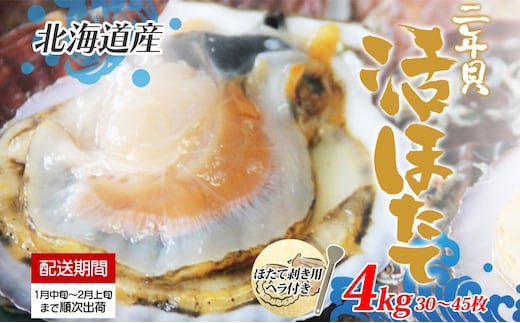 北海道産 活ほたて 2年貝 約 4kg 30枚～45枚 2026年1月中旬～2月上旬頃お届け 殻付き 貝付き 帆立 ホタテ ほたて 貝 魚介 海産 海鮮 貝柱 噴火湾 刺身 焼き フライ 生産者支援 産地直送 送料無料 魚介類 