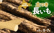 北海道産 青野農園 土つき 長いも 約5kg 5～7本 11月下旬～1月中旬ごろお届け ながいも 土付き 北海道 長芋 自然薯 とろろ いも イモ 旬 野菜 農作物 産地直送 お取り寄せ 送料無料 根菜 とろろご飯 