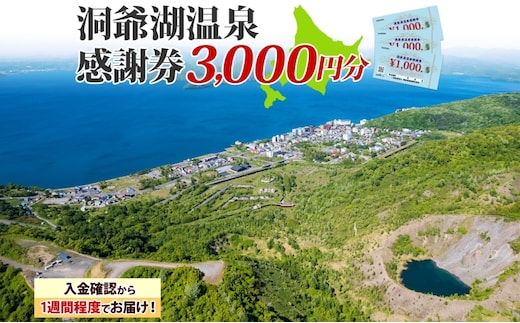 洞爺湖温泉感謝券 3000円 分 金券 クーポン 洞爺湖 湖 温泉 リゾート 有珠山 火山 自然 花火 イルミネーション 旅行 観光 宿泊 施設 北海道 within2025