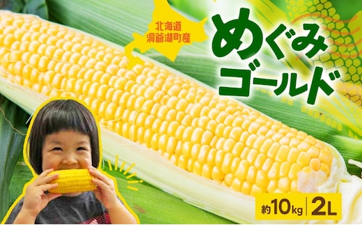 北海道産 青野農園 めぐみ ゴールド 2Lサイズ 約10kg 先行受付 2026年8月中旬頃から出荷 スイートコーン 北海道 とうもろこし トウモロコシ コーン 恵味 旬 朝採れ 新鮮 野菜 農作物 産地直送 甘い 