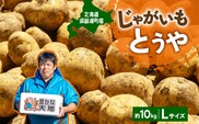 北海道産 青野農園 じゃがいも とうや Lサイズ 約10kg 2026年10月初旬～12月下旬頃お届け 先行予約 北海道 ジャガイモ トウヤ 馬鈴薯 ポテト 芋 いも イモ 黄色 旬 野菜 農作物 産地直送 お取り寄せ 国産 