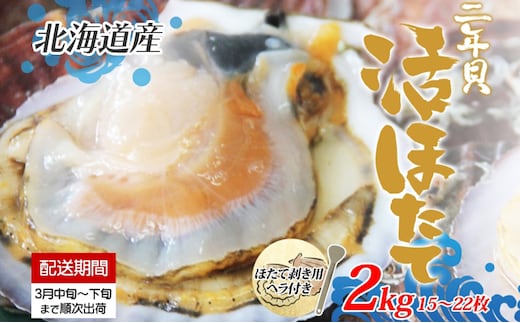 北海道産 活ほたて 2年貝 約 2kg 15枚～22枚 2026年3月中旬～3月下旬頃お届け 殻付き 帆立 ホタテ ほたて 貝 魚介 海産 海鮮 貝柱 噴火湾 刺身 焼き フライ 生産者支援 産地直送 送料無料 北海道 