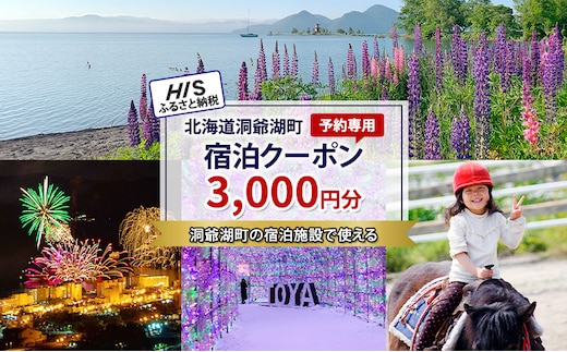 HISふるさと納税宿泊予約専用クーポン（北海道洞爺湖町）【3,000円分】 宿泊 ホテル 観光 
