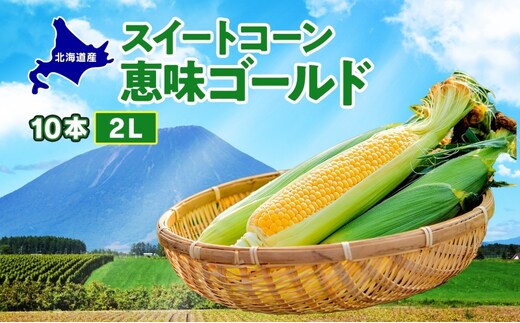  北海道産 スイート コーン めぐみゴールド 2Lサイズ 10本 先行受付 2026年8月上旬～下旬頃お届け とうもろこし 恵味 めぐみ トウモロコシ 旬 完熟 朝もぎ 野菜 産地直送 お取り寄せ 北海道 丸田農園 洞爺湖 