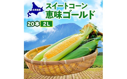 北海道産 スイートコーン めぐみゴールド 2L 20本 2027年8月中旬～8月下旬頃お届け とうもろこし 恵味 めぐみ トウモロコシ とうきび コーン 大粒 旬 産地直送 お取り寄せ 北海道 丸田農園 送料無料 洞爺湖町