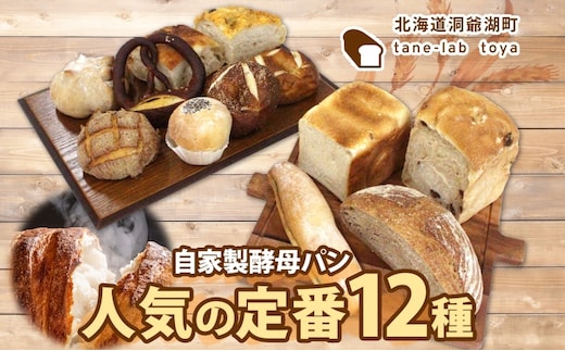 自家製酵母パン 人気の定番セット Lサイズ パン 道産 小麦 惣菜パン 菓子パン フォカッチャ ベーグル プレッツェル 角食 山食 朝食 軽食 手づくり 自家製 酵母 人気 詰め合わせ 冷凍 北海道 洞爺湖町