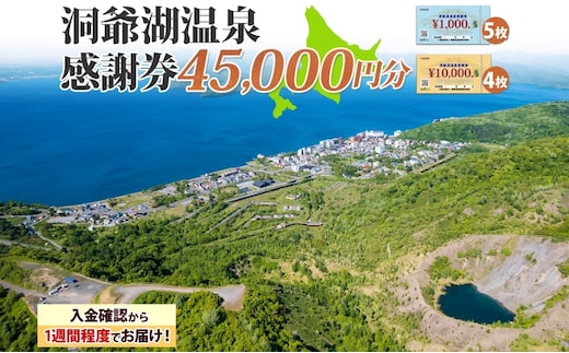 洞爺湖温泉感謝券 45000円 分 金券 クーポン 洞爺湖 湖 温泉 リゾート 有珠山 火山 自然 花火 イルミネーション 旅行 観光 宿泊 施設 北海道 within2025