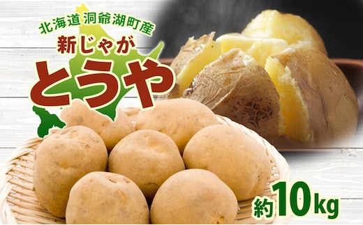 北海道 洞爺湖町産 新じゃがいも とうや 約10kg Mサイズ以上混載 2026年10月初旬より順次出荷 北海道産 新じゃが じゃがいも ジャガイモ 馬鈴薯 旬 野菜 農作物 送料無料 産地直送 常温 洞爺湖町 