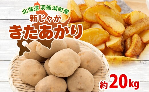 北海道 洞爺湖町産 新じゃがいも きたあかり 約20kg Mサイズ以上混載 2026年10月初旬より順次出荷 北海道産 新じゃが じゃがいも いも ジャガイモ 馬鈴薯 黄爵 芋 旬 野菜 農作物 産地直送 常温 洞爺湖町