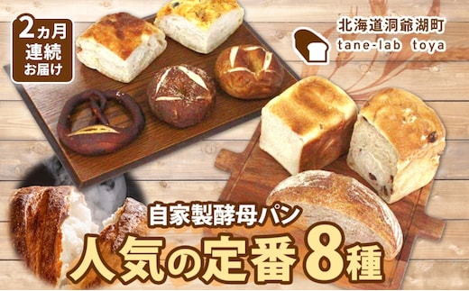 自家製酵母パン 人気の定番セット Mサイズ 2ヵ月連続お届け