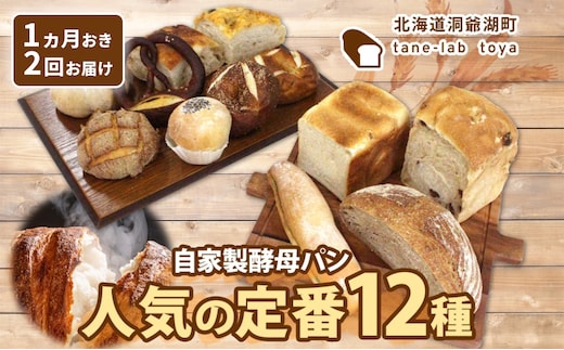 自家製酵母パン 人気の定番セット Lサイズ 1ヵ月おきに2回お届け 小分けパック