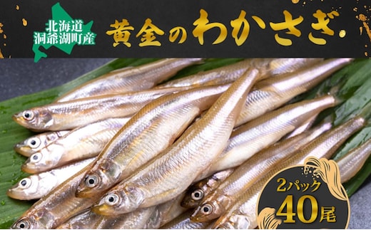 洞爺湖町産 黄金のわかさぎ 20尾×2P 計40尾 北海道産 ワカサギ わかさぎ 川魚 魚介類 産地直送 冷凍 お取り寄せ グルメ 料理 天ぷら フライ とうやマルシェ 北海道 洞爺湖町