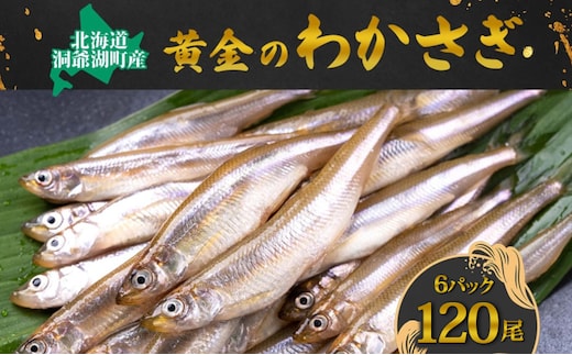 洞爺湖町産 黄金のわかさぎ 20尾×6P 計120尾 北海道産 ワカサギ わかさぎ 川魚 魚介類 産地直送 冷凍 お取り寄せ グルメ 料理 天ぷら フライ とうやマルシェ 北海道 洞爺湖町