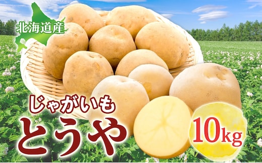 じゃがいも とうや 10kg 2025年9月上旬～12月中旬までお届け ジャガイモ 芋 甘い ホクホク なめらか ポテト カレー 調理 料理 煮込み料理 旬 野菜 お取り寄せ 北海道 洞爺湖町