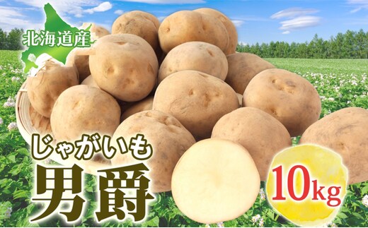 男爵 10kg 2025年9月上旬～12月中旬までお届け ダンシャク コロッケ ジャガイモ 芋 甘い ホクホク ポテト カレー 調理 料理 煮込み料理 旬 野菜 お取り寄せ 北海道 洞爺湖町
