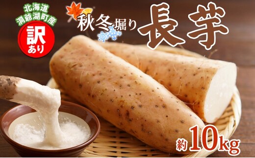 洞爺湖町産 訳あり 長芋 約10kg 2025年11月下旬から順次お届け 長いも 国産 北海道産 訳アリ 家庭用 不揃い とろろ 山かけ ステーキ 生食 調理 野菜 芋 旬 北海道 洞爺湖町