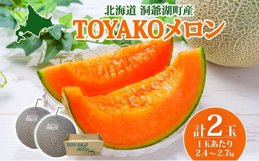 TOYAKOメロン 2玉 計4.8kg～5.4kg 2026年9月下旬～10月中旬お届け 北海道産 メロン レッド113 糖度14度以上 赤肉 フルーツ 果物 旬 デザート 国産 贈り物 常温 今村農園 北海道 洞爺湖町 