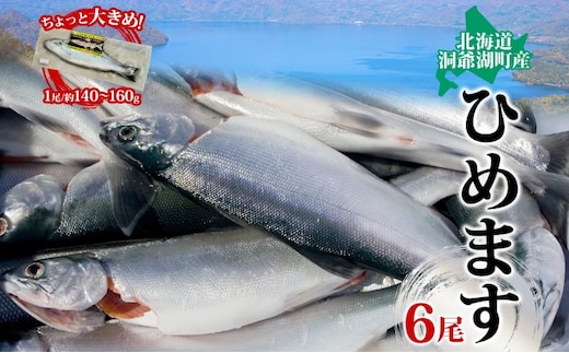 洞爺湖町産 ひめます 6尾 約140g～160g /1尾 ちょっと大きめサイズ 北海道 姫鱒 ヒメマス 魚 さかな 北海道産 海鮮 釣り漁獲 チップ 塩焼き 素揚げ 丸ごと レア 高級魚 淡水魚 洞爺湖町