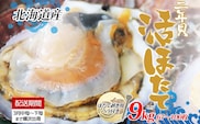 北海道産 活ほたて 2年貝 約 9kg 67枚～100枚 2026年3月中旬～3月下旬頃お届け 殻付き 貝付き 帆立 ホタテ ほたて 貝 魚介 海産 海鮮 貝柱 噴火湾 刺身 焼き フライ 生産者支援 産地直送 送料無料 