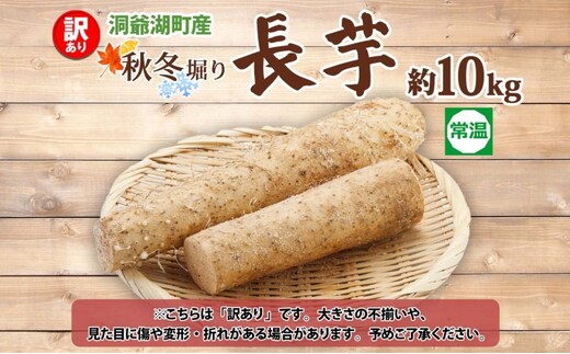2024新物！北海道十勝産 長芋 10キロ 農家直送 新物！北海道十勝産