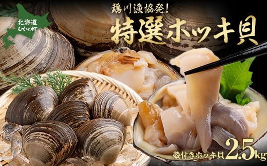 鵡川漁協発!特選ホッキ貝(2.5kg) MKWV001
