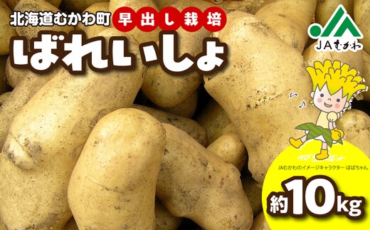 ＜2026年8月上旬より発送＞ばれいしょ MKWAL2001