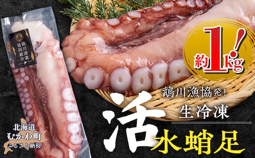 鵡川漁協発！活水生蛸足冷凍（約1kg） MKWV004