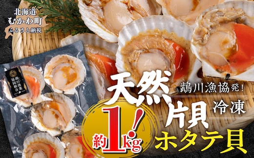 鵡川漁協発！天然片貝冷凍ホタテ貝（約1kg） MKWV005