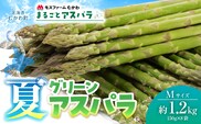 夏アスパラMサイズ 約1.2kg（150g×8袋） MKWM006