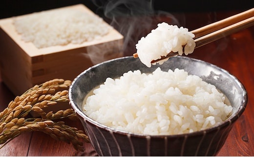 馬舞米(ウマイベ) 10kg