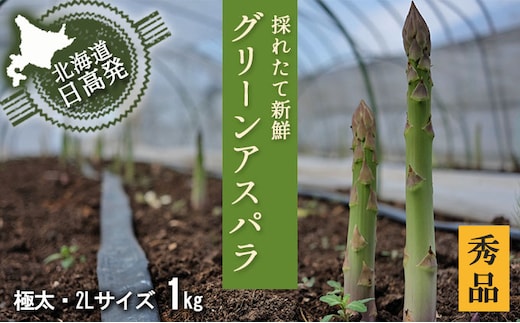 2L【秀品】約1kgグリーンアスパラ＜北海道日高門別産＞