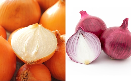 北海道 日高産 玉ねぎ2種 玉ねぎ約13kg 紫玉ねぎ約5kg 国産 北海道産 野菜 産地直送 お取り寄せ