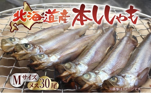 北海道産 阿部水産 ししゃも M 30尾セット 本ししゃも 雌 メス 魚卵 卵 たまご タマゴ子持ち 北海道土産 季節限定 ほくほく 子魚 無添加 クール便 冷凍 送料無料 北海道 日高町