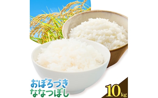 令和7年産 おぼろづき＆ななつぼし 各5kg 計10kg 食べ比べセット 田中農園《30日以内出荷予定(土日祝除く)》お米 北海道 日高 米 こめ コメ 白米 白飯 ご飯 ごはん---hohdk_tn_1_5kg---